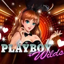 Sticky Slots Casino: Login E Cadastro